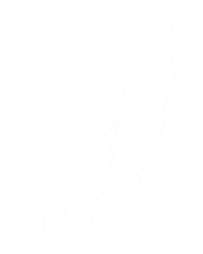 Vleugel ON.omkeerbaar 1