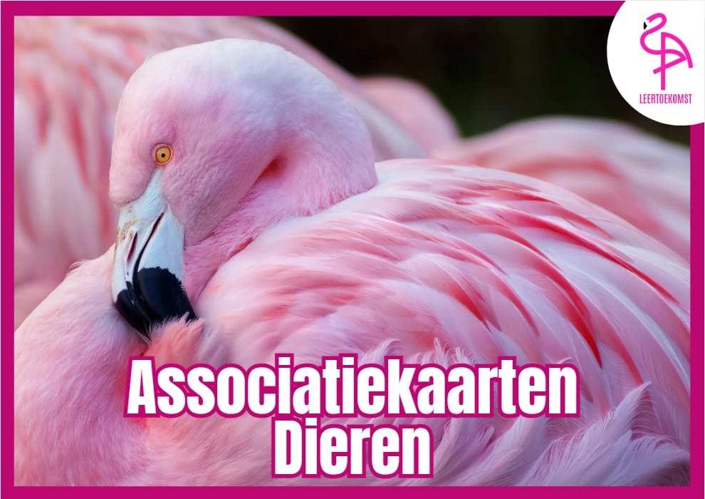 Schermafbeelding 2025 04 10 202116